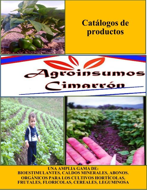 Portada del catalogo