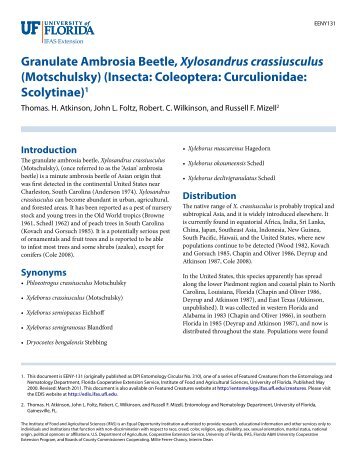 Granulate Ambrosia Beetle, Xylosandrus crassiusculus ...