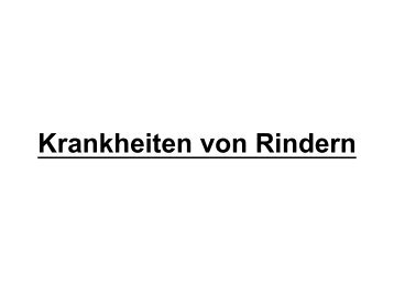 Erkrankungen bei Rindern