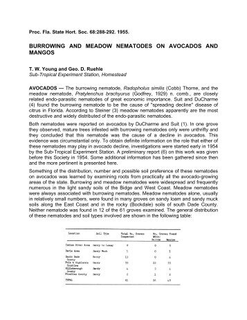 Burrowing and Meadow Nematodes on Avocados and Mangos