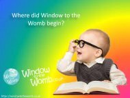 Where did Window to the Womb begin - Window to the Womb