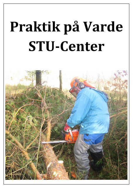 Praktik på Varde STU-Center