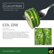 Leaflet Cucumber E23L.2258