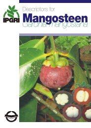 Descriptors for Mangosteen (Garcinia mangostana)