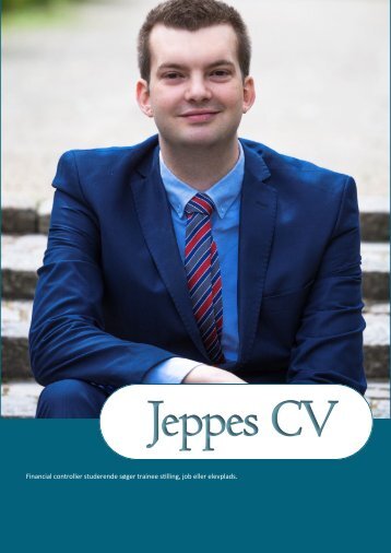 Dekorativt CV 2017
