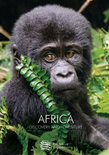 Africa A5 16pp low res