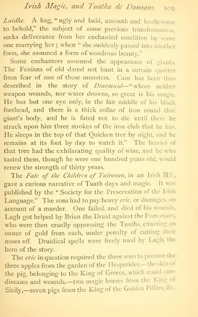 Irish Druids and Old Irish Religions