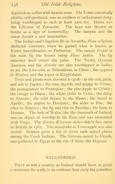 Irish Druids and Old Irish Religions