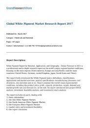 Global White Pigment Market Research Report 2017