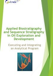 Applied Biostratigraphy and  Sequence Stratigraphy Course for Oil and Gas Professionals