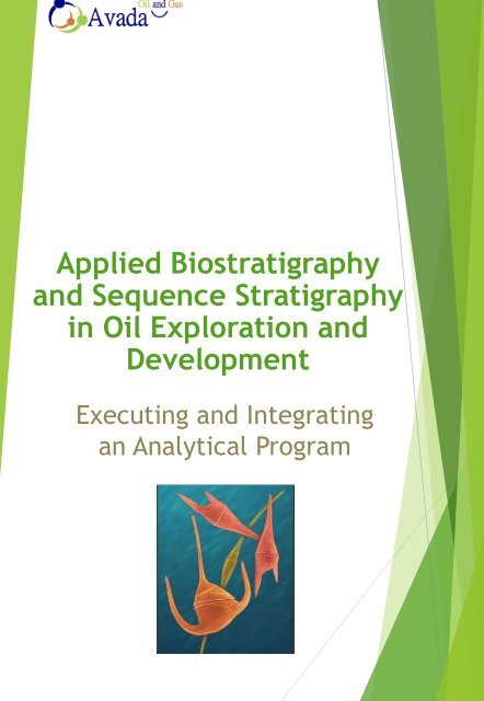 Applied Biostratigraphy and  Sequence Stratigraphy Course for Oil and Gas Professionals