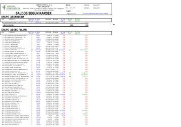 Seagate Crystal Reports - SALDO