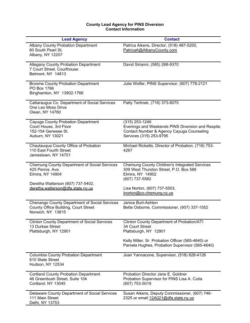 PDF - PINS Diversion Lead Agency - New York State Office of ...
