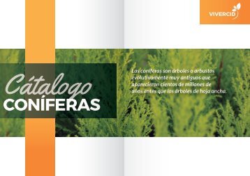 CATALOGO CONÍFERAS