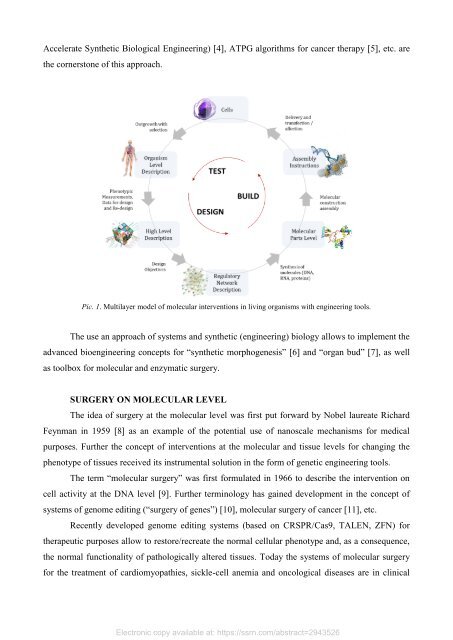 Foundations for Molecular and Enzymatic Functional Surgery