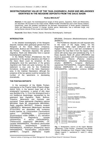 Biostratigraphic value of the taxa Zagrabica, Radix and