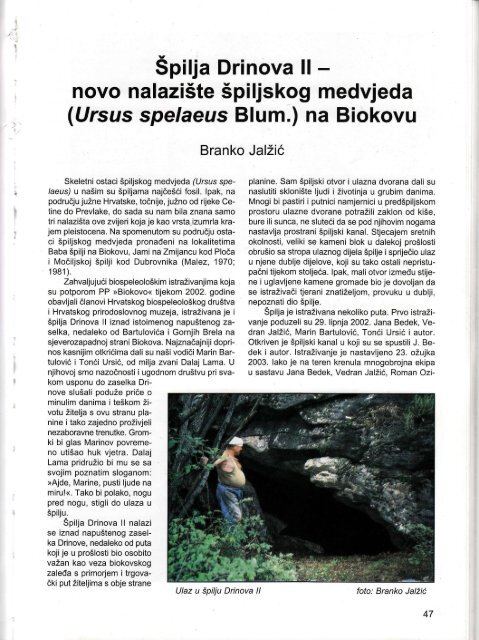 Cijeli članak: "Špilja Drinova II - novo nalazište špiljskog - Brolanenses