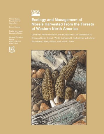 Ecology and Management of Morels Harvested From the Forests of ...