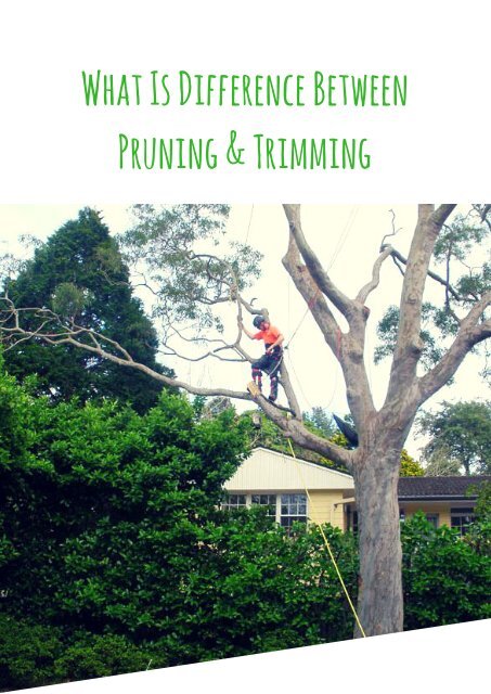 What Is Difference Between Pruning and Trimming