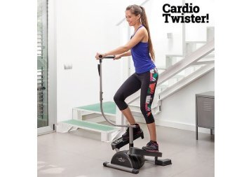 cardio-twister-swing-stepper