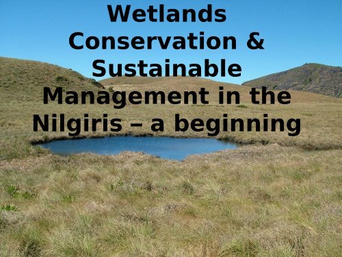 list of wetlands surveyed - The Nilgiris Water
