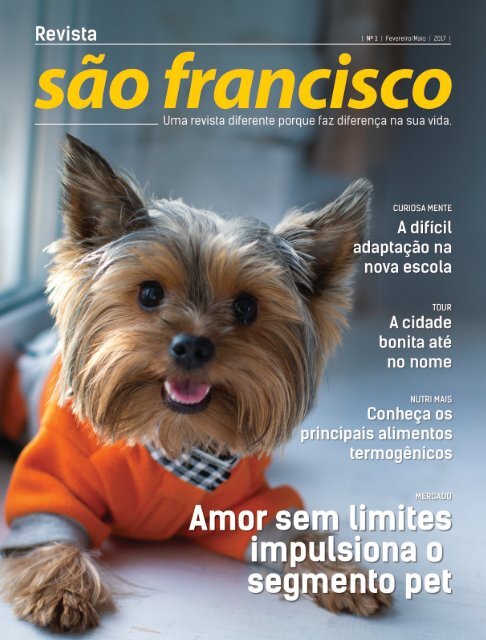Revista São Francisco - Edição 01