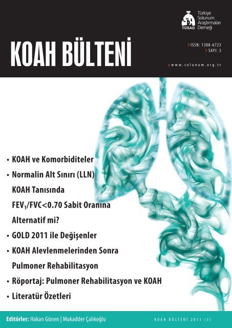 KOAH Bülteni 2011 Sayı 3