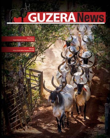 Revista Marcha News Guzera