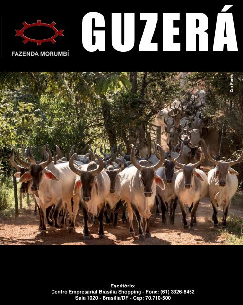 Revista Marcha News Guzera