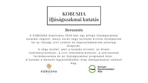 KOBUSHA - Ifjúságszakmai kutatás 2016