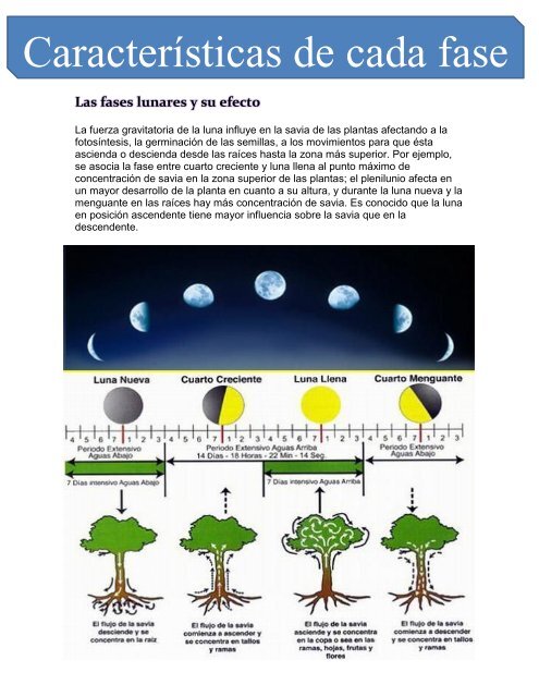 GRAVITACION UNIVERSAL