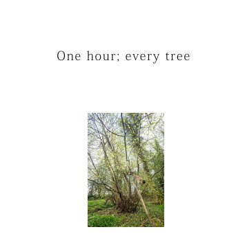 Onehoureverytree blurb v1