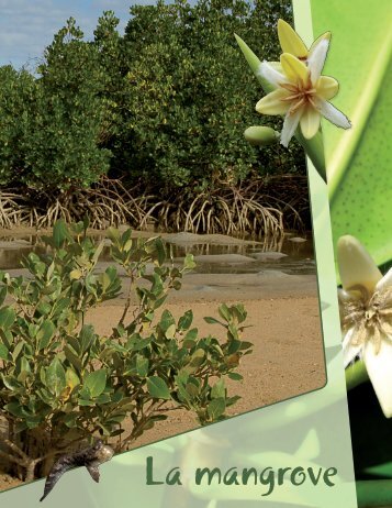 C'est ma nature, Livret élève : la mangrove