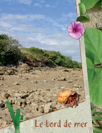 C'est ma nature, Livret élève : le bord de mer