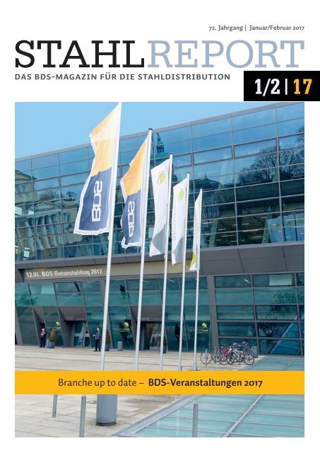 Stahlreport 2017.01