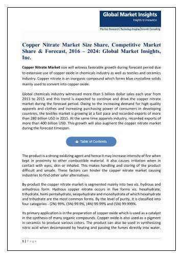 Copper Nitrate Market Price Trend, Competitive Market Share & Forecast, 2016 – 2024