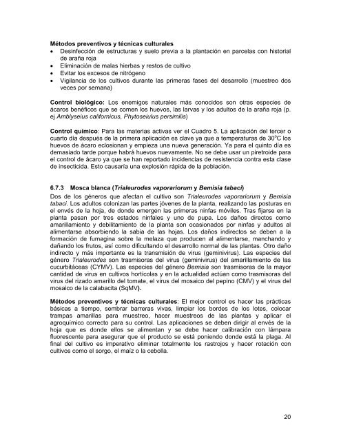Manual para la produccion de Sandia USAID