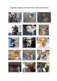 Adoptable Animals at the Porterville Animal Control Shelter