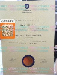 办理南澳大学毕业证UNISA DIPLOMA CERTIFICATE MASTER DEGREE TRANSCRIPT