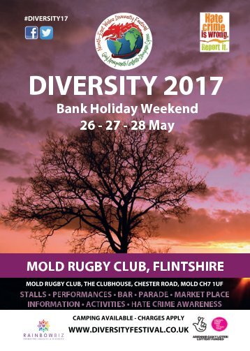 Diversity Festival 2017