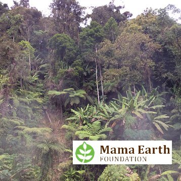 Mama Earth Foundation
