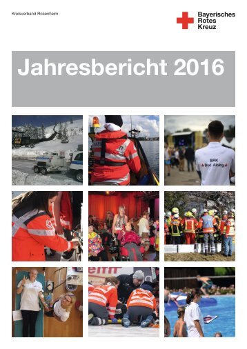 Jahresbericht 2016