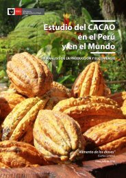 estudio-cacao-peru-julio-2016