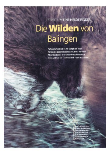 "Die wilden von Balingen" von Bericht Bernd Hauser