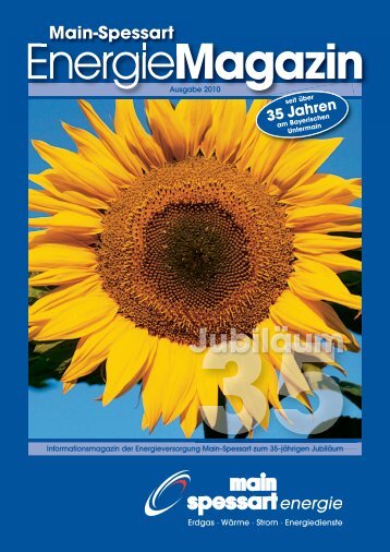 MainSpessart Energie-Magazin Ausgabe 2010 (pdf | 5,02