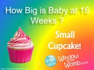 How Big is Baby at 16 Weeks ?