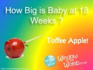 How Big is Baby at 18 Weeks ?