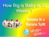 How Big is Baby at 20 Weeks ?