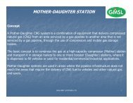 MOTHER-DAUGHTER STATION - Gas Mint Systems Limited