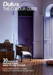 THE COLOUR GUIDE - Dulux India